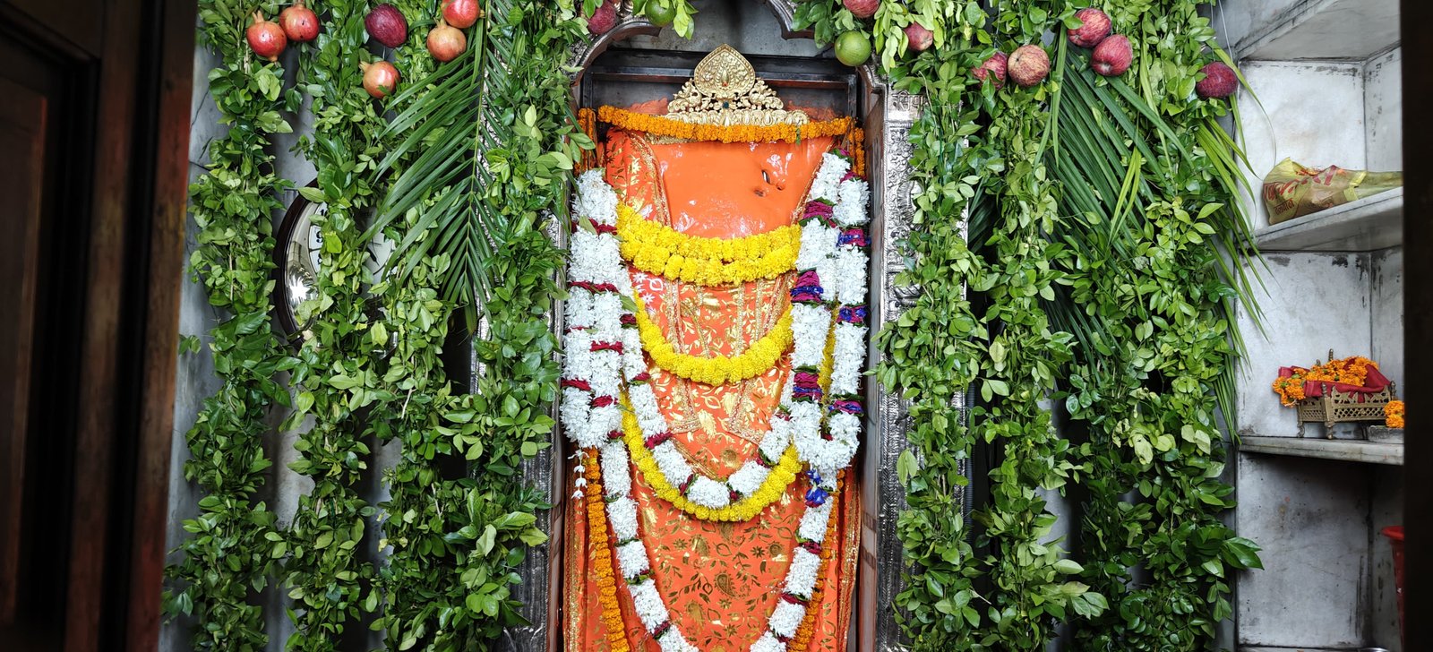 अलौकिक फल-पुष्प एवं चोला शृंगार दर्शन